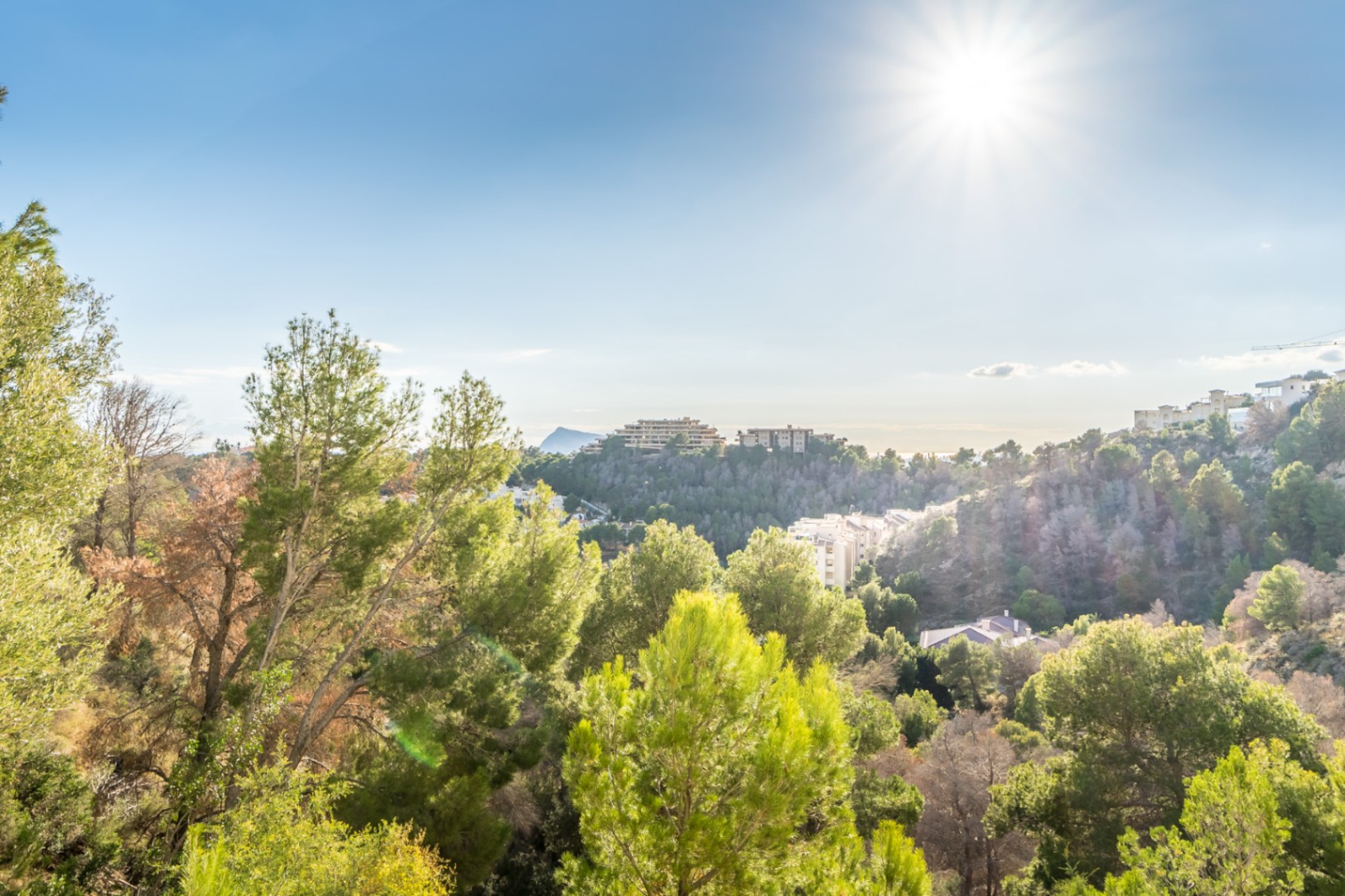 APARTMENT IN ALTEA