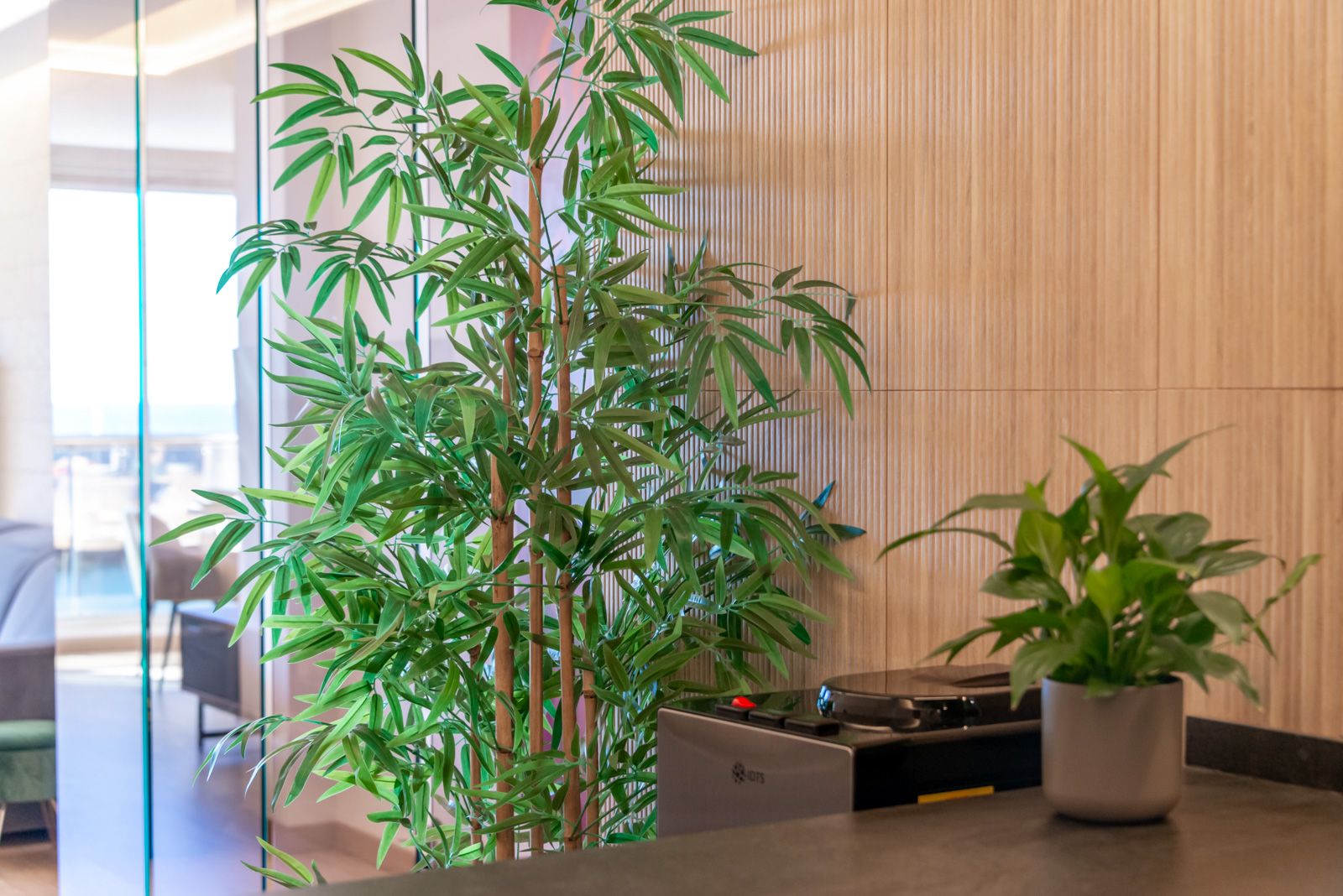 Exclusive frontline duplex in Mascarat